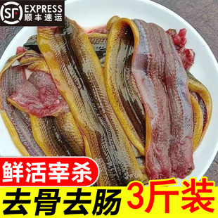 野黄鳝鲜活现杀新鲜剔骨鳝鱼原生态鳝片无骨去骨去肠【顺丰包邮】