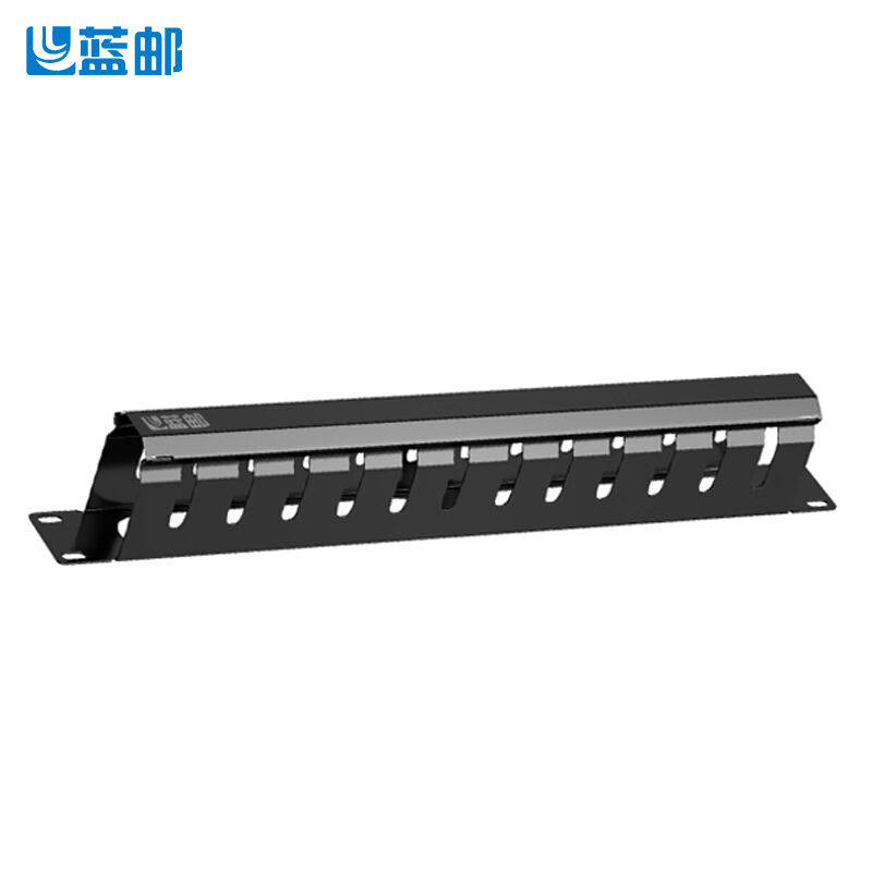 蓝邮19英寸机柜1U理线架12挡24口机房网线理线槽网络机柜金属配线
