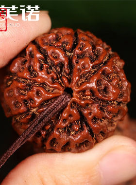 珀芙诺印尼金刚菩提手串6789瓣原籽红皮爆满肉手串配饰红皮文玩收