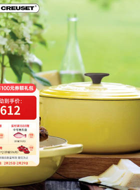 酷彩（LeCreuset）珐琅锅法国进口铸铁汤锅焖蒸炖煮通用煲汤多功