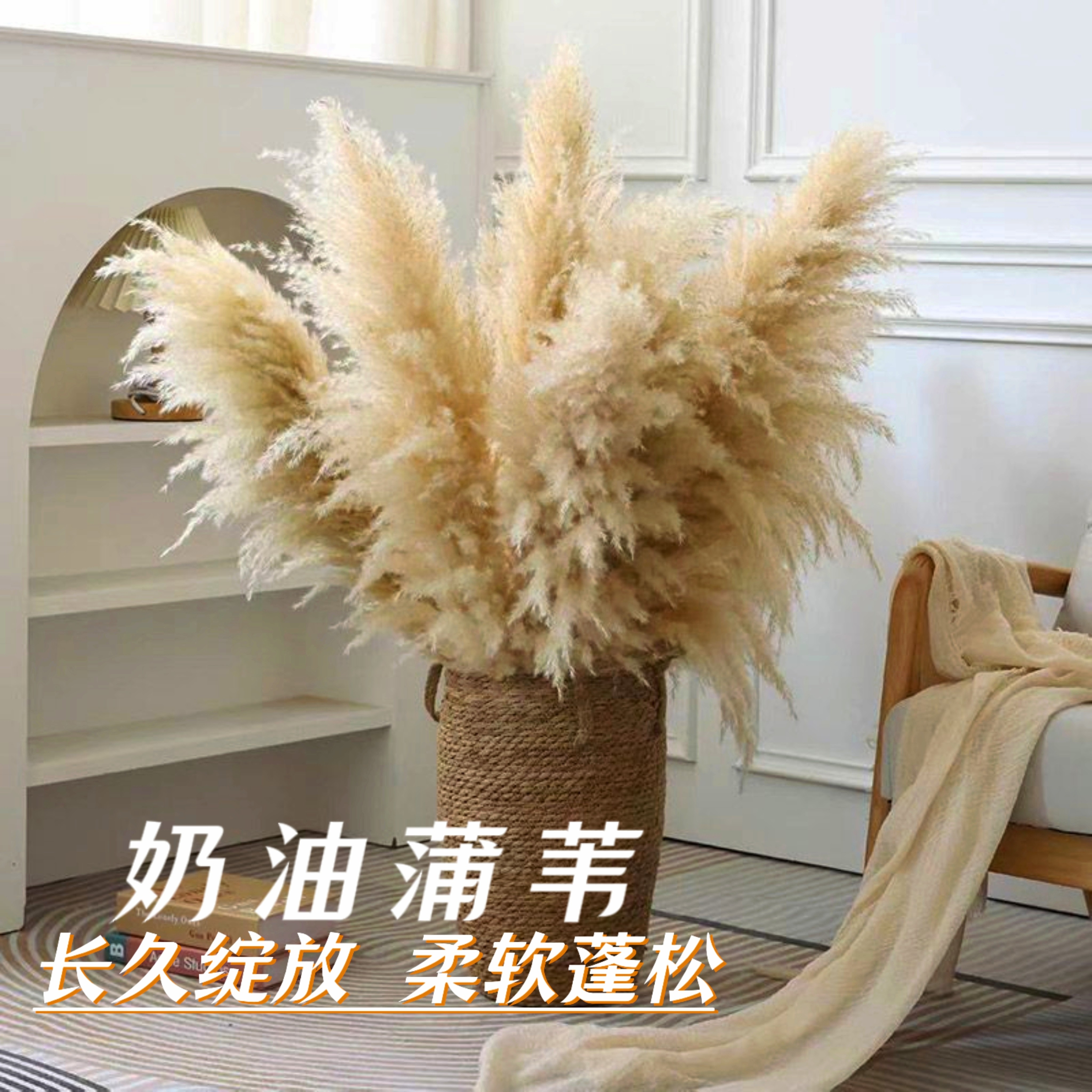 天然芦苇干花花束网红真花客厅摆设蒲苇大穗天然落地室内ins摆件