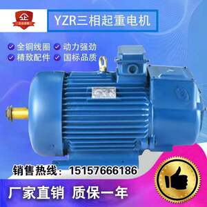 YZR355L2-10  132KW冶金及起重用绕线转子三相异步电动机交流电机