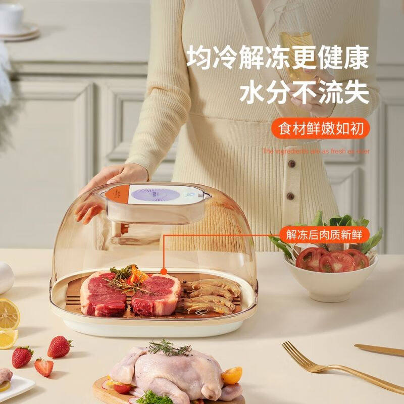 巧居巧具（qiaojuqiaoju）家用保鲜解冻器解冻盘化冻板肉类快速解