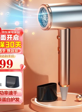 优越（Youyue）电吹风机家用吹风筒大功率速干蓝光负离子养发恒温
