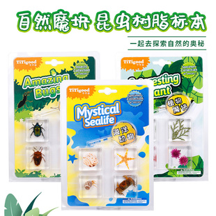 titigood千千谷自然魔块真虫标本玩具树脂儿童科学昆虫海洋套装