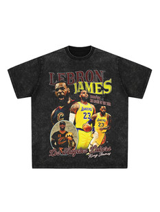LeBron James勒布朗·詹姆斯 湖人队短袖 美式篮球印花T恤男装
