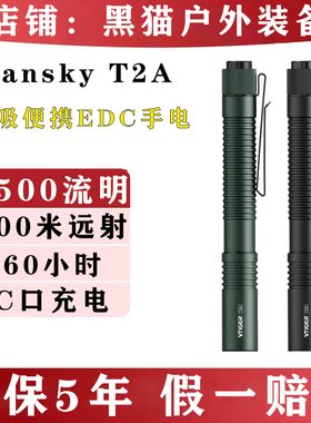 VTIGER T2A 14100锂电池兼容2节AA电池