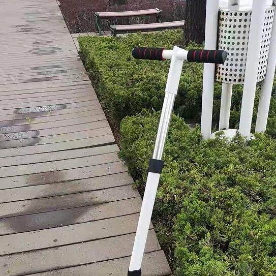 云皓骐骥平衡车手控加长