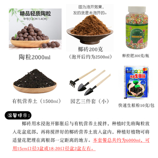 多肉绿植通用泥土营养土陶粒泥炭土释控肥花肥吸水棉绳滴水器夹子