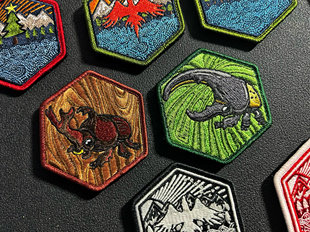 星星精品原创臂章高品万针刺绣魔术贴士气章 甲壳 昆虫收集者