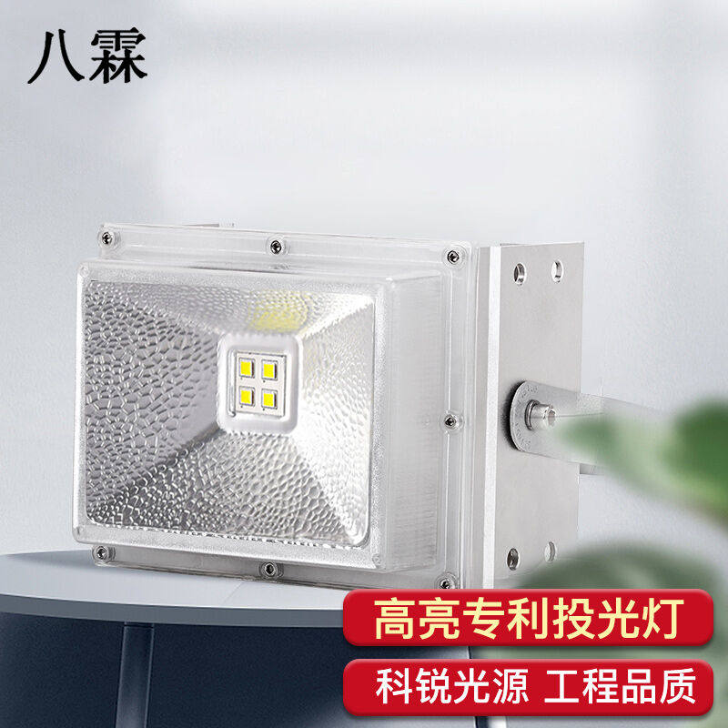 八霖led投光灯户外射灯市电庭院灯路灯工地灯园林照明接电广告牌