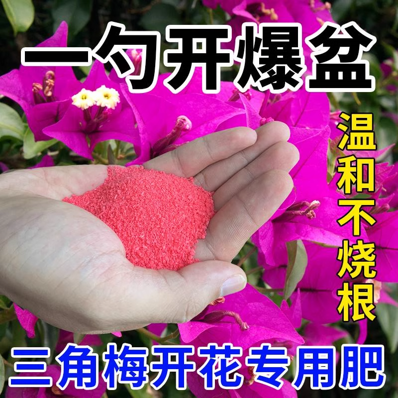 快速开花粉茶花桂花三角梅茉莉通用型生根粉壮苗促花盆栽养花肥料