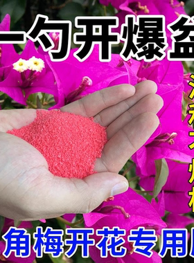 三角梅专用催开花粉开花素