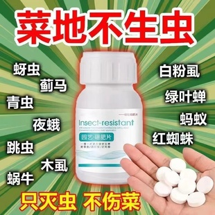 园艺菜地防虫驱虫药蔬菜果树家庭花卉防虫片特效杀虫剂 永无虫