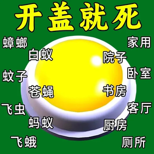 灭蟑螂药贴非无毒家用一窝全窝厨房端华哗晔康杀蟑胶饵除小强杀手