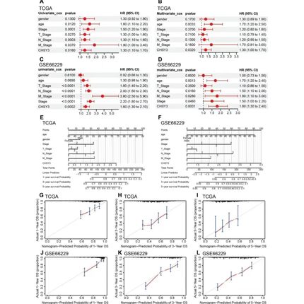 Python代编医学图像分割深度学习语义分割计算机视觉生成对抗网络