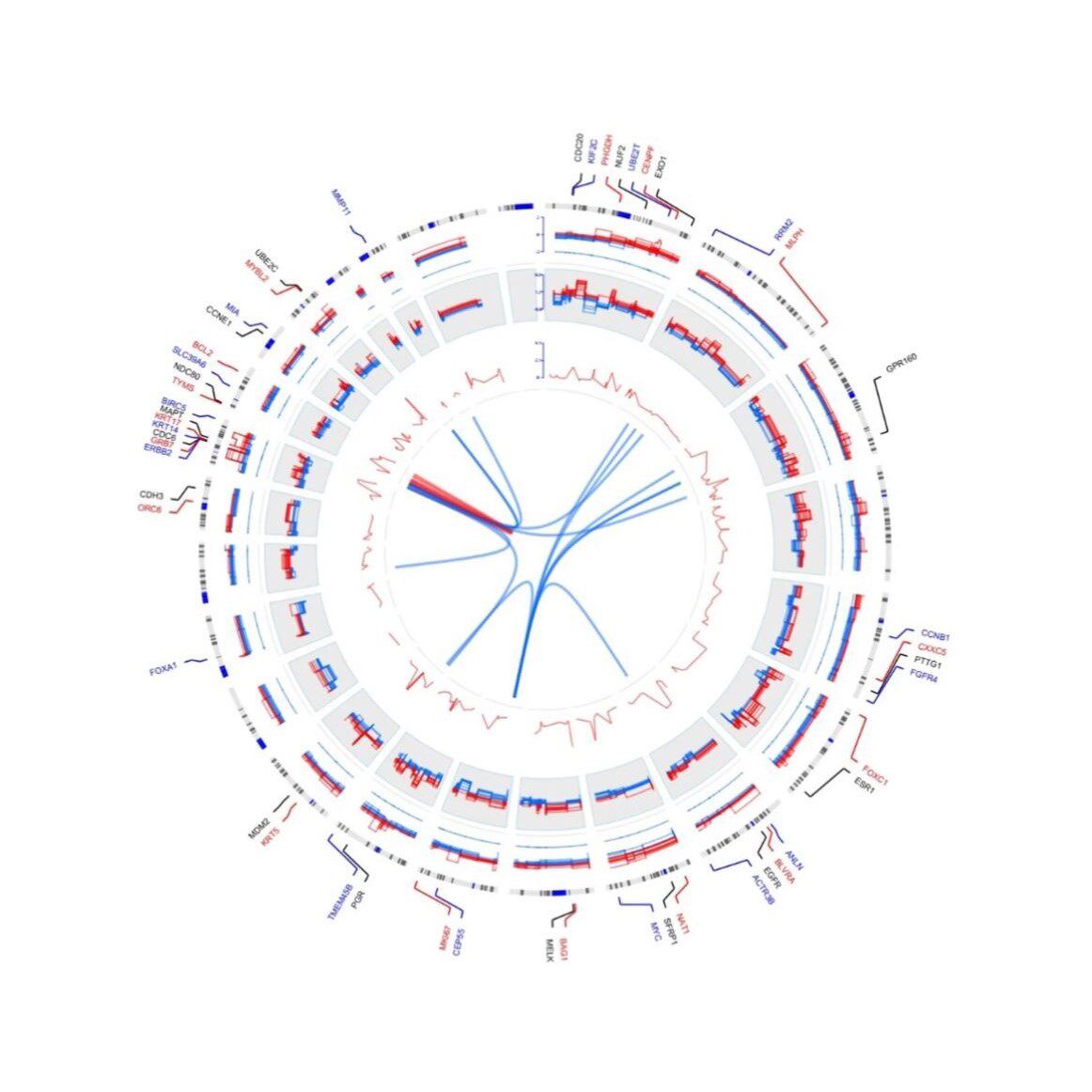 生信数据单细胞 TCGA GEO 生信图咨询服务