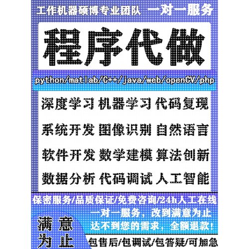 python代编程深度学习java程序代做matlab代码web帮做彷真算法c++