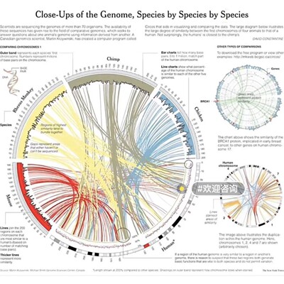 R语言代码Rstudio绘图SCI科研生信医学桑基热图数据分析作图教程