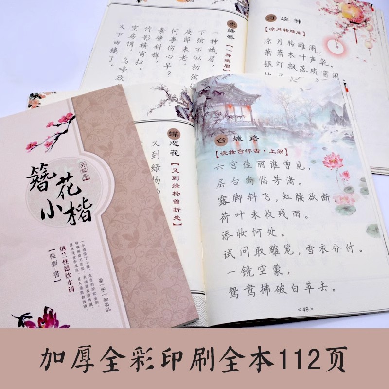 簪花小楷字帖女生硬笔临摹古风清新大学生成人速成钢笔楷书练字帖