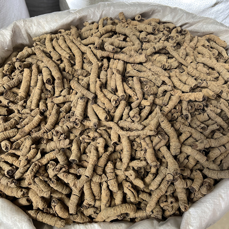 巴戟天抽芯肉厚粗条生晒无硫