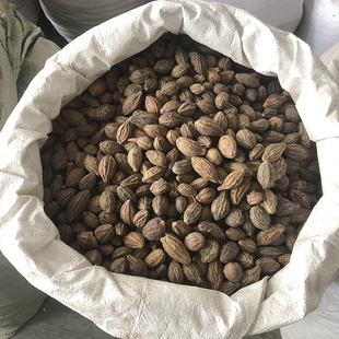 诃子 云南散装砢子整颗非肉 高原新货柯子金果草本药材 天然无硫