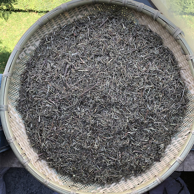 香薷香茹草云南高原药材干净无泥