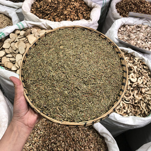 侧柏叶 云南散装柏叶药材 农家高山新鲜采摘搭桑叶苦丁茶脱发首乌