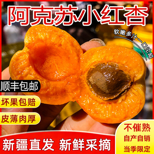 当天现摘现发，空运包邮