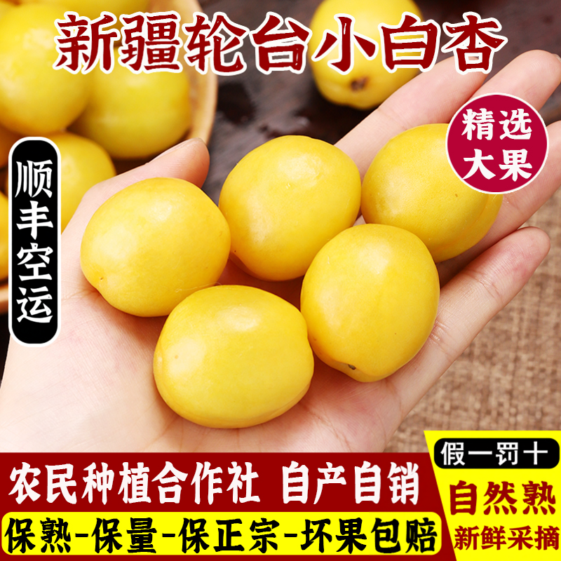 新疆小白杏新鲜杏子水果新鲜应季孕妇水果当季甜杏子4斤顺丰空运