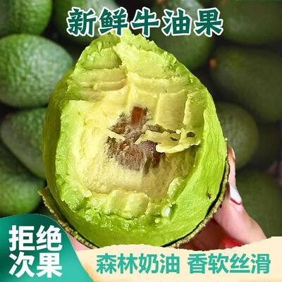 进口牛油果新鲜宝宝辅食孕妇水果熟透即细腻绵密2-15个装整箱包邮