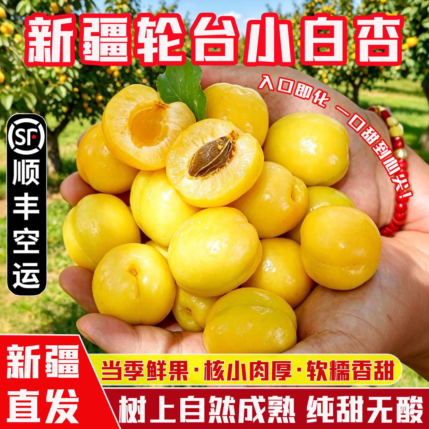 新疆轮台小白杏新鲜当季水果库车白杏甜杏孕妇水果整箱顺丰空运