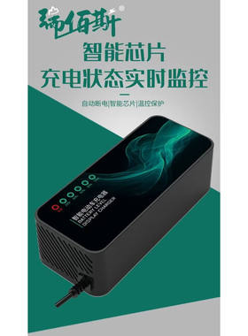 电动车电瓶充电器48V12AH60V20AH72V爱玛雅迪台铃小刀铅酸通用充