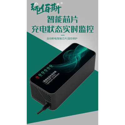 电动车电瓶充电器48V12AH60V20AH72V爱玛雅迪台铃小刀铅酸通用充