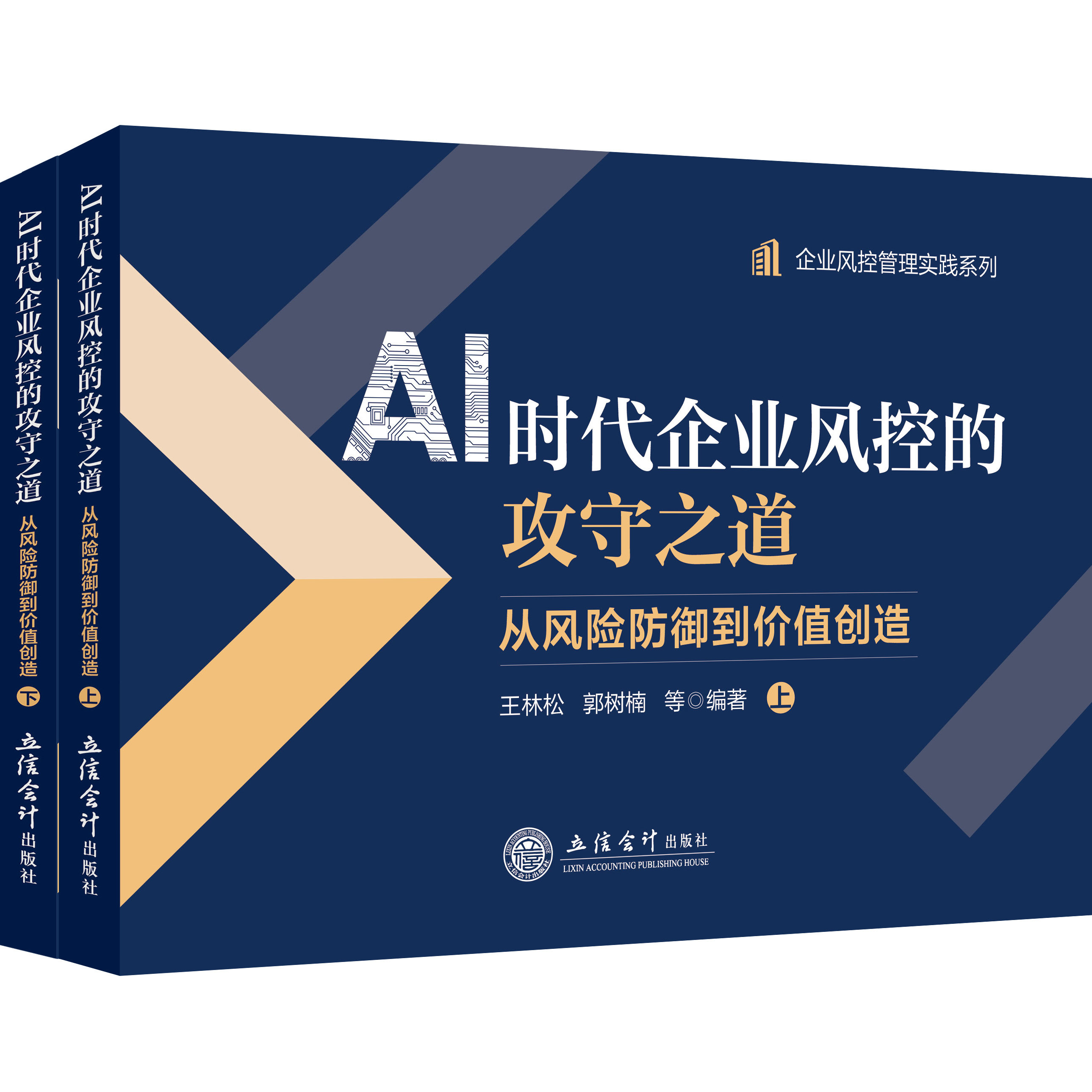 【立信仓库直发】AI时代企业风控的攻守之道 从风险防御到价值创造 王林松 郭树楠等 企业战略管理 合规管理实用手册