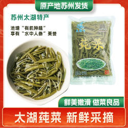 美味新鲜苏州太湖莼菜东山特产320g克非西湖纯利川马蹄菜