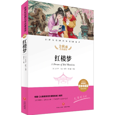 红楼梦 名师精评思维导图版 经典文学名著金库 经典儿童文学书籍 初中语文课外书 四大名著正版图书 天地出版社