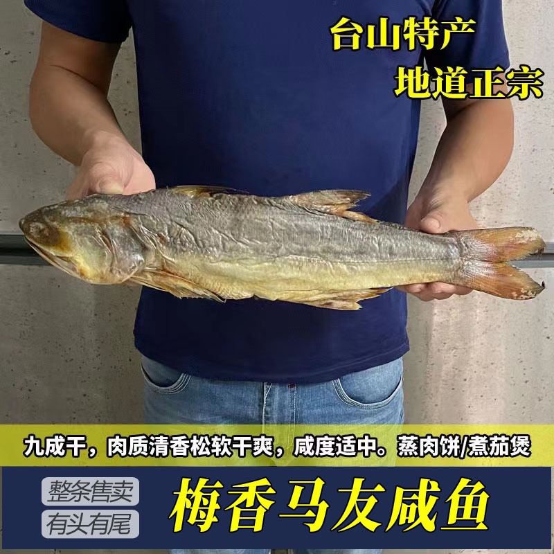 台山特产 广海咸鱼 广东梅香咸鱼 马友咸鱼干 非马鲛鱼 渔家风味