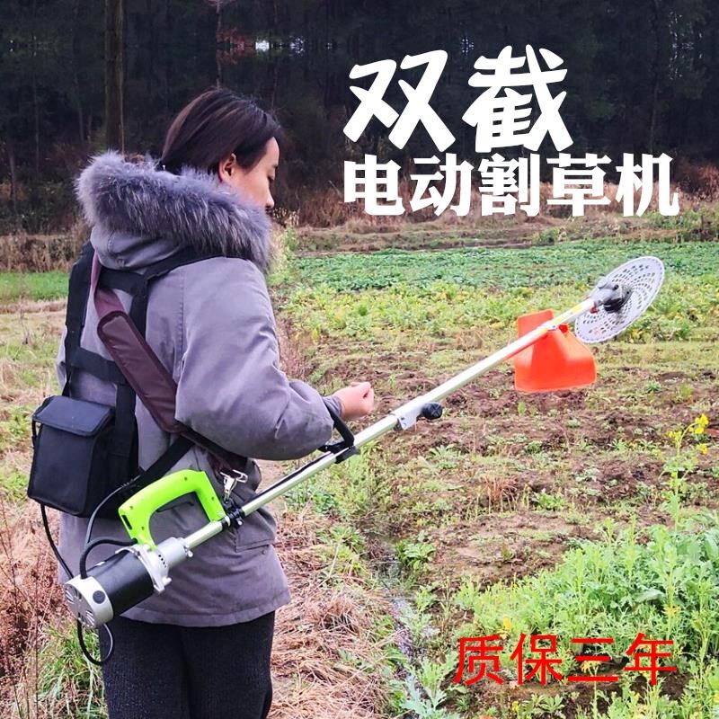 充电式电动绿篱机除草机割草机锂24v12ah48v伏大容量电瓶车电池组|ruв категории доставка цветов/цветок моделирования/растения садоводства, садовых принадлежностей, косилка/газонокосилка - от Buy2taobao.com для оказания профессиональной услуги покупки агента Taobao