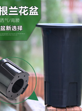 兰花花盆 塑料兰花盆 PP树脂塑料 花盆兰盆特大 超大黑色5个包邮