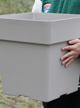 大号花盆大口径园艺种植花盆观赏盆景橘树芒果树火龙果树盆栽花盆