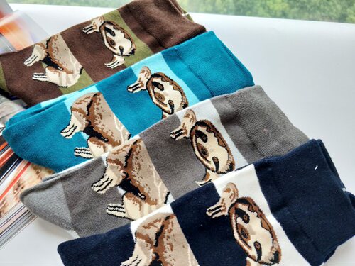 潮袜四季时尚卡通个性风长筒袜子