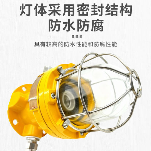 船用白炽LED防爆灯CFD1/3