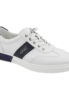 沙驰男鞋专柜正品2025新款真皮板鞋运动休闲鞋男士皮鞋13Q3B583