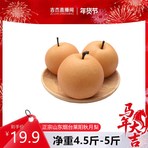 山东烟台莱阳秋月梨产地发货大果