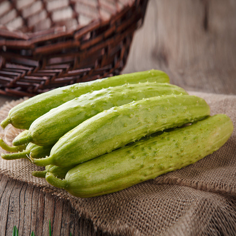 海阳白玉黄瓜水果生吃农家孕妇新鲜蔬菜净重4.5斤,水产肉类/新鲜蔬果/熟食,黄瓜,淘宝优惠券,粉丝福利购,淘宝优惠卷