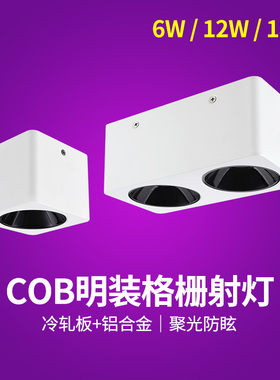 nVc/雷士LED明装格栅射灯单双头灯豆胆灯白色 NLED5841 NLED5842