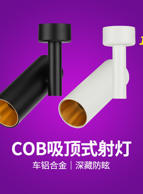 nVc雷士SLED333LED吸顶式明装座式射灯 6W 9W 15W 白色 黑色金色