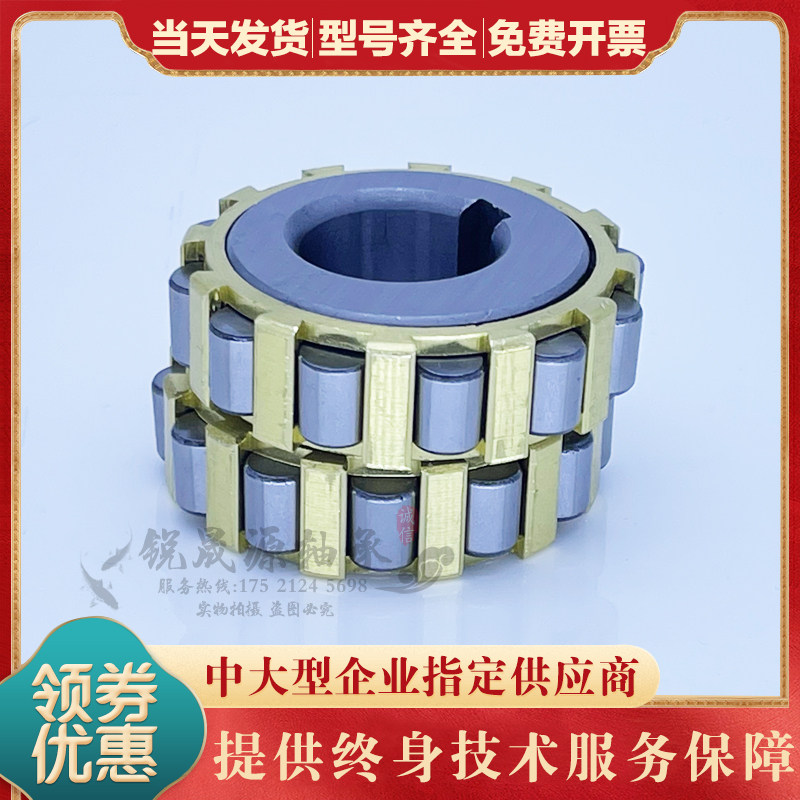 进口GAL减速机偏心轴承RN205 RN206 RN309 RN312 RN219 222 307