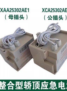 电梯整合型应急电源 RKP220/12X XCA XAA25302AE1适用西子奥的斯